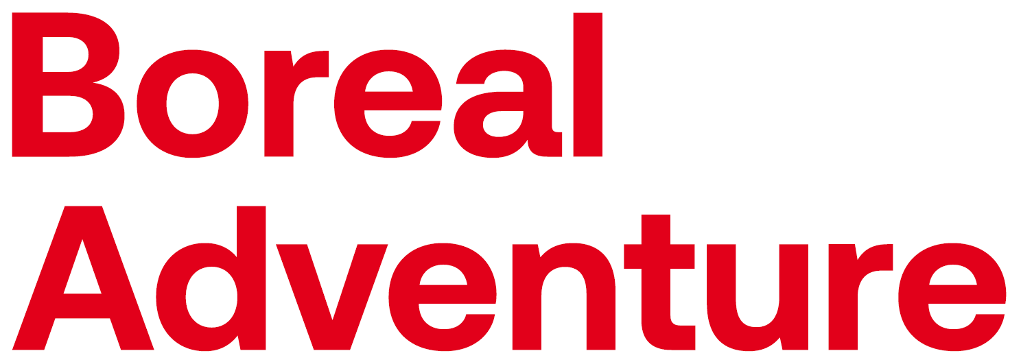 Logo: Travelize International AB